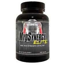 EvoMuse MyoSynergy